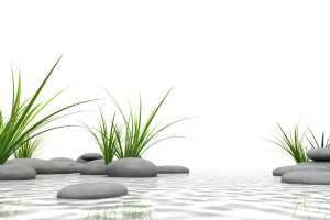 wasserstein wasserstein